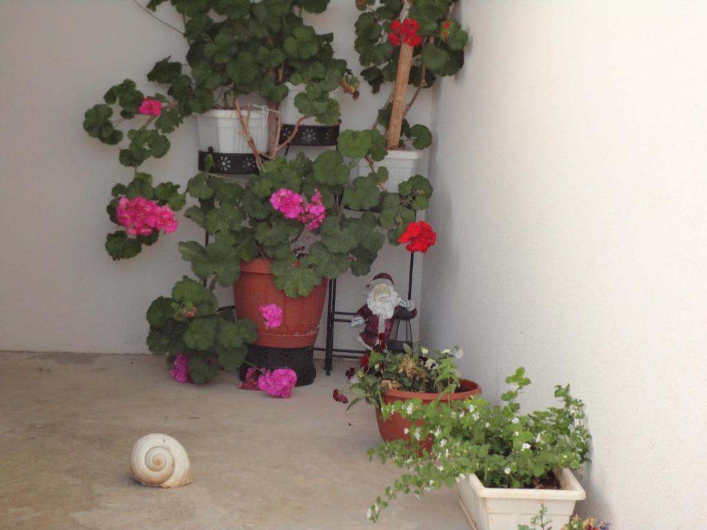 Kovacic Apartment Hvar Town